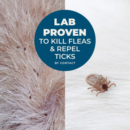 Flea & Tick Shampoo