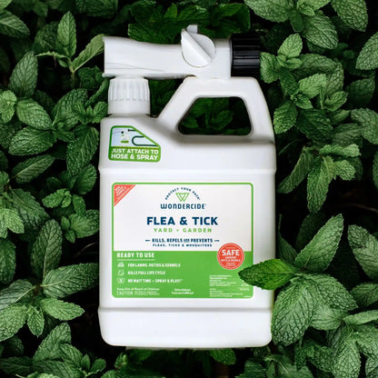 Ready-to-Use Flea & Tick Spray for Yard + Garden