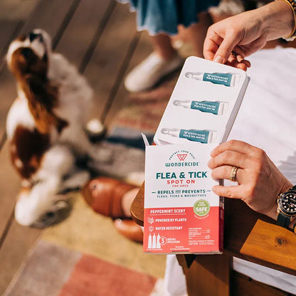 12-Month Flea & Tick Spot On for Medium Dogs