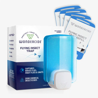 Flying Insect Trap