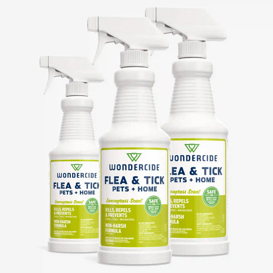 Apartment Treatment Kit | Flea & Tick Spray