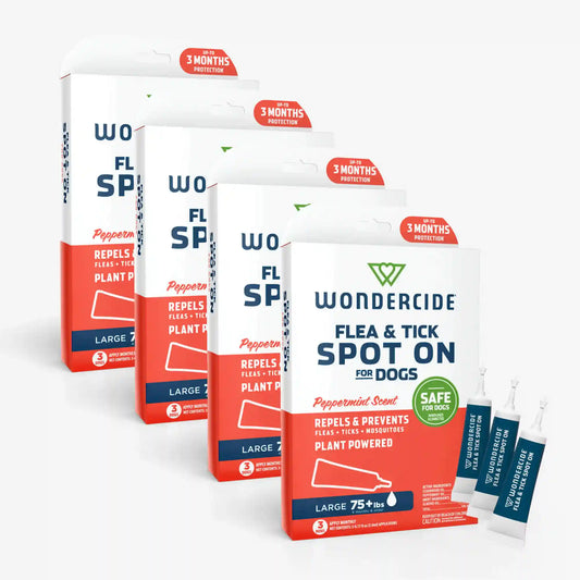 12-Month Flea & Tick Spot On for Large Dogs