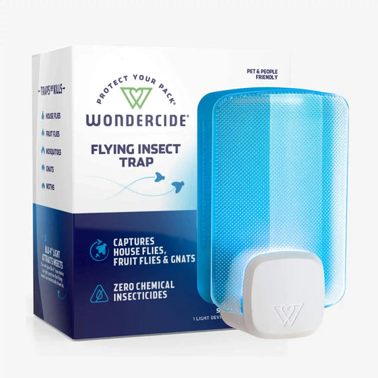 Flying Insect Trap