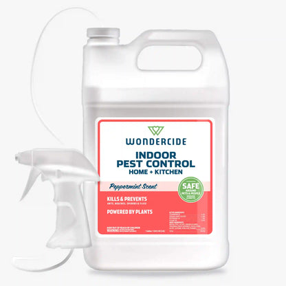 Indoor Pest Control for Home + Kitchen