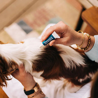 12-Month Flea & Tick Spot On for Large Dogs