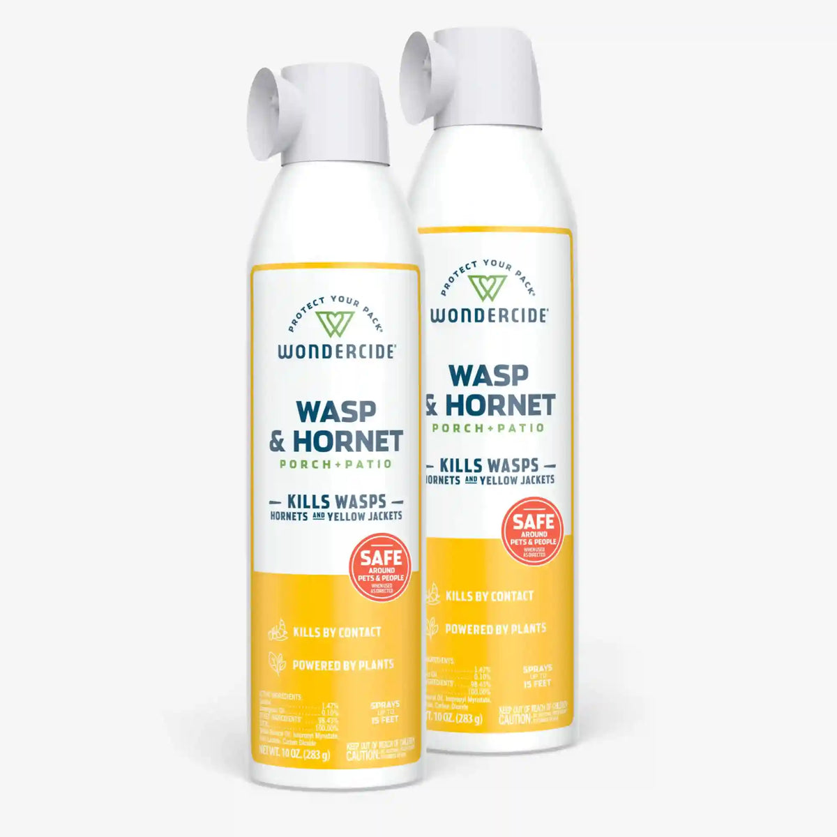 Wasp & Hornet for Porch + Patio