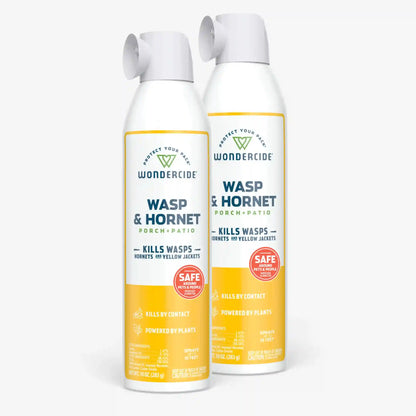 Wasp & Hornet for Porch + Patio