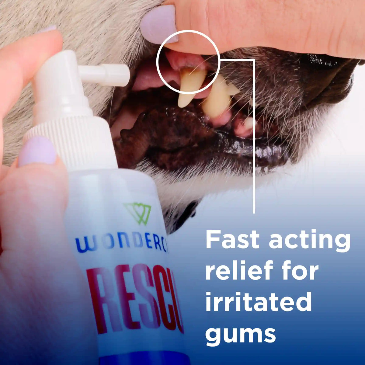 Wondercide RESCUE™ Oral Spray