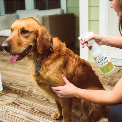16 oz. Flea & Tick Spray for Pets + Home